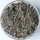 Lavender in glass