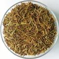 Juniper needles in glass