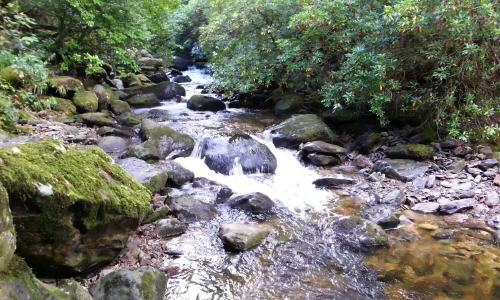 Picture water treatment