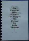 Wood brochure english